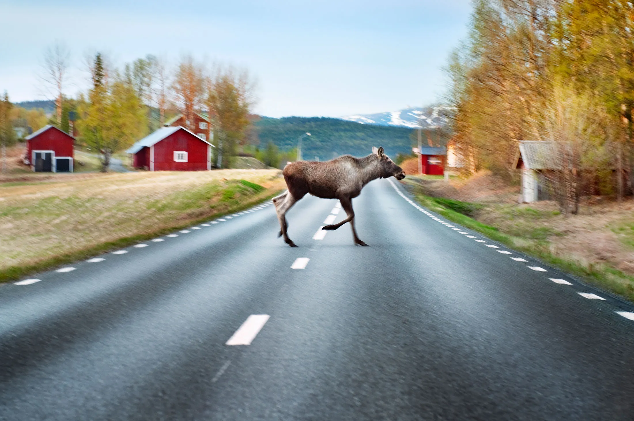 Volvo, which markets its cars based on a reputation for safety, has pushed driver-assistance systems as a way to reduce crashes.

