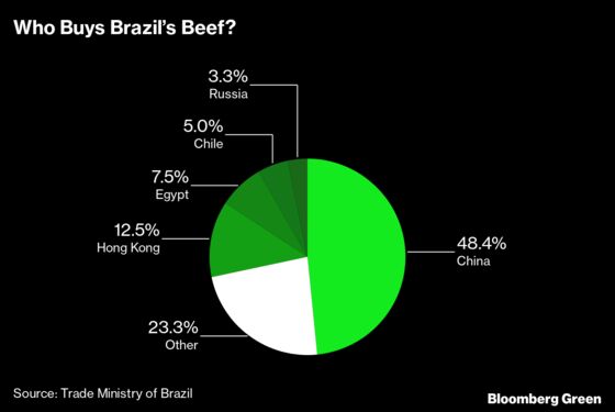 Why It’s So Hard to Stop Amazon Deforestation, Starting With the Beef Industry