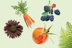 Want a Real ROI? These Six Plants Make Up a High-Margin Garden