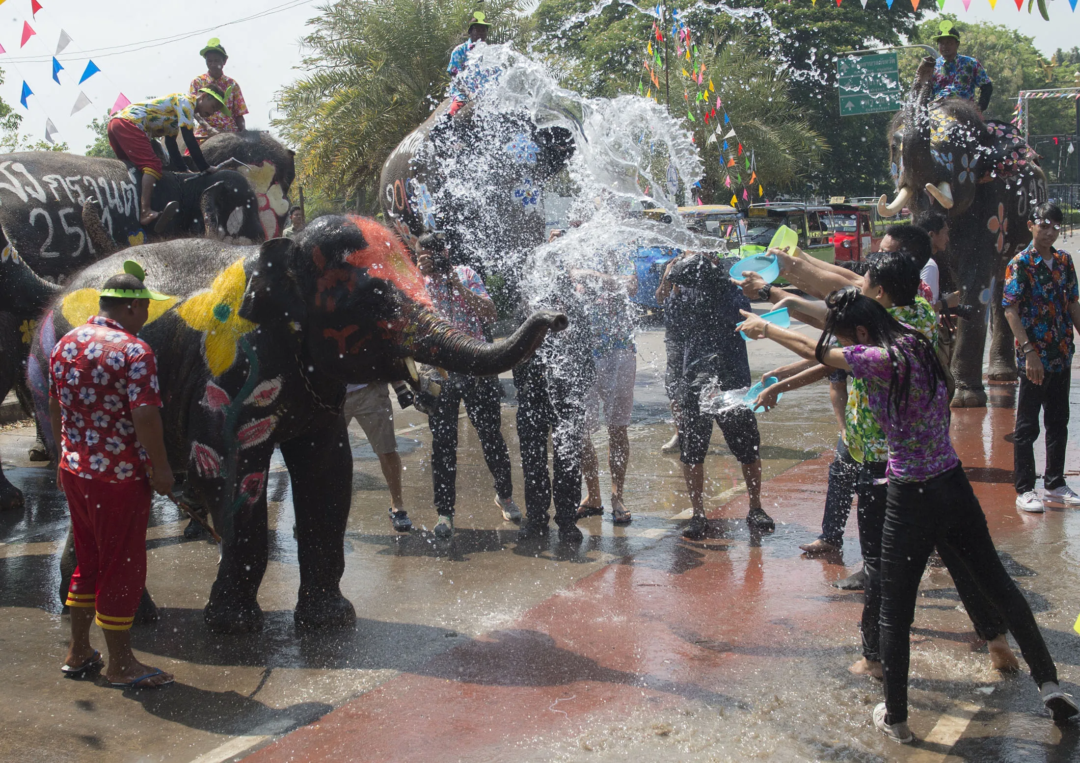 Visitors and elephants splash water at each other during a ceremony ahead of Songkran Festival for the Thai New Year in Ayutthaya on April 11.