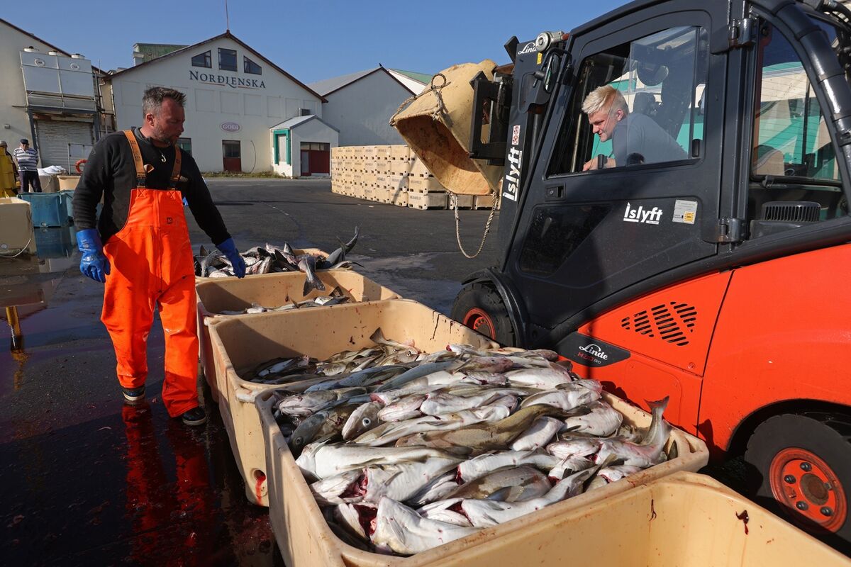 bloomberg.com - Ragnhildur Sigurdardottir - Solar Eclipse, Cod Catch and Aluminum Factor in Icelandic Rates