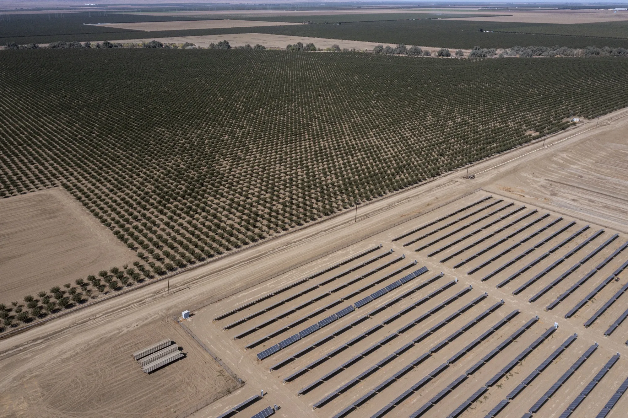 Solar panels and a pistachio grove at a farm in Huron, California.
