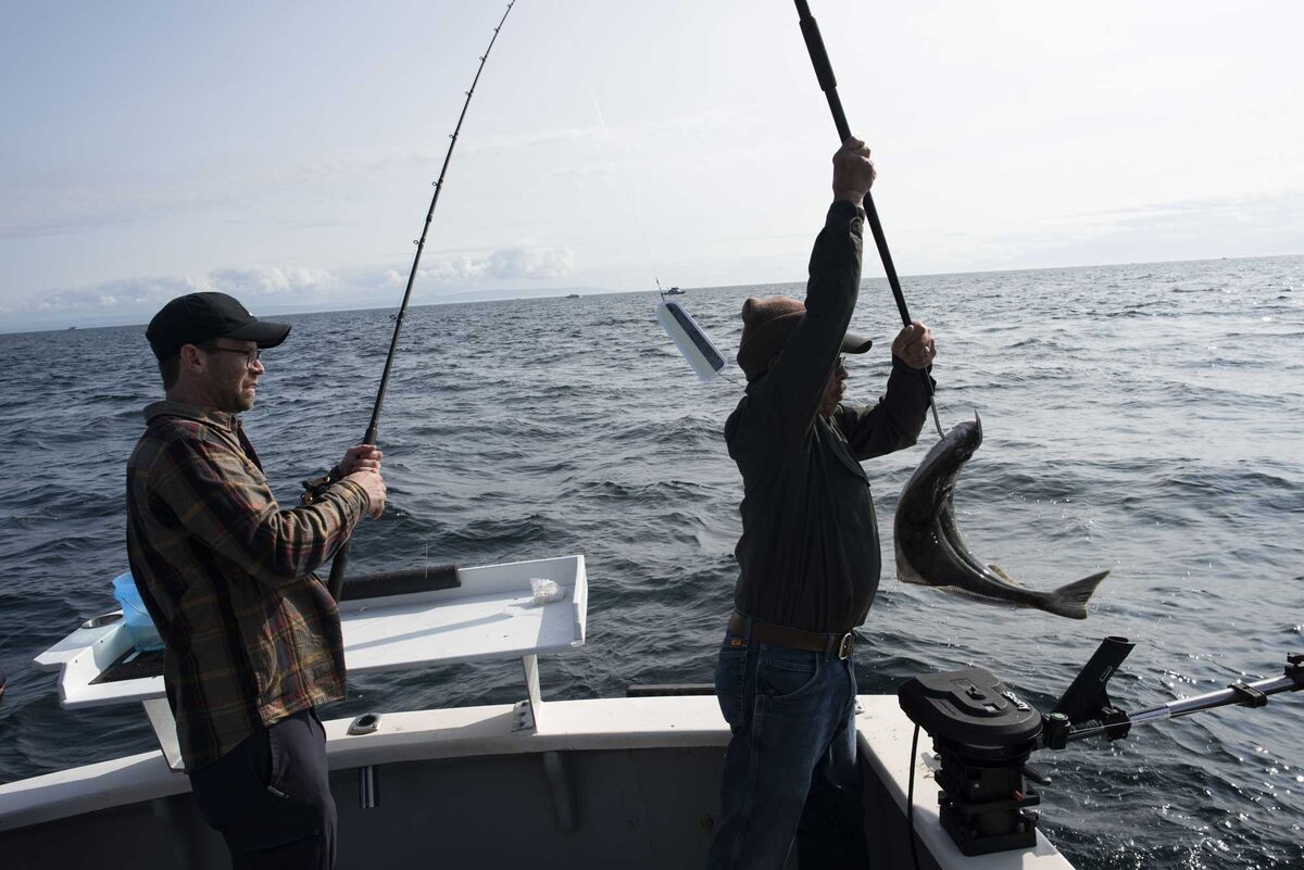 Salmon Shortage: Alaska's Fishing Industry Is at a Global Climate  Crossroads - Bloomberg