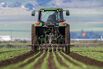 Nations Race To Secure Enough Fertilizer And Prevent Food Crisis