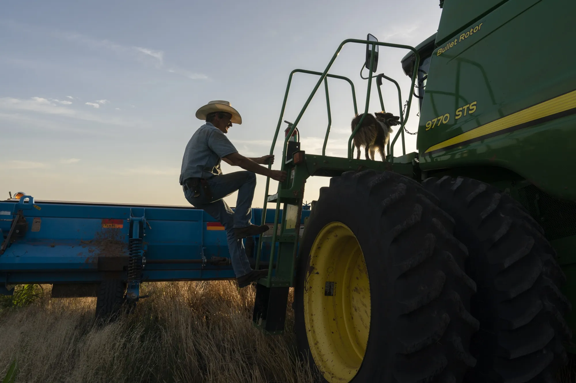 A farmer and his dog climb into a combine to harvest wheat in Corn, Oklahoma.
