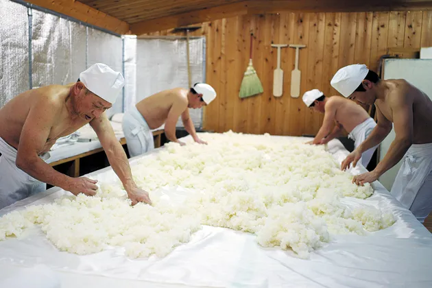 A kurabito, or sake brewer, labors in a warm humid room called a kojimuro to work the stiffness out of the koji, or steamed rice cultivated with mold