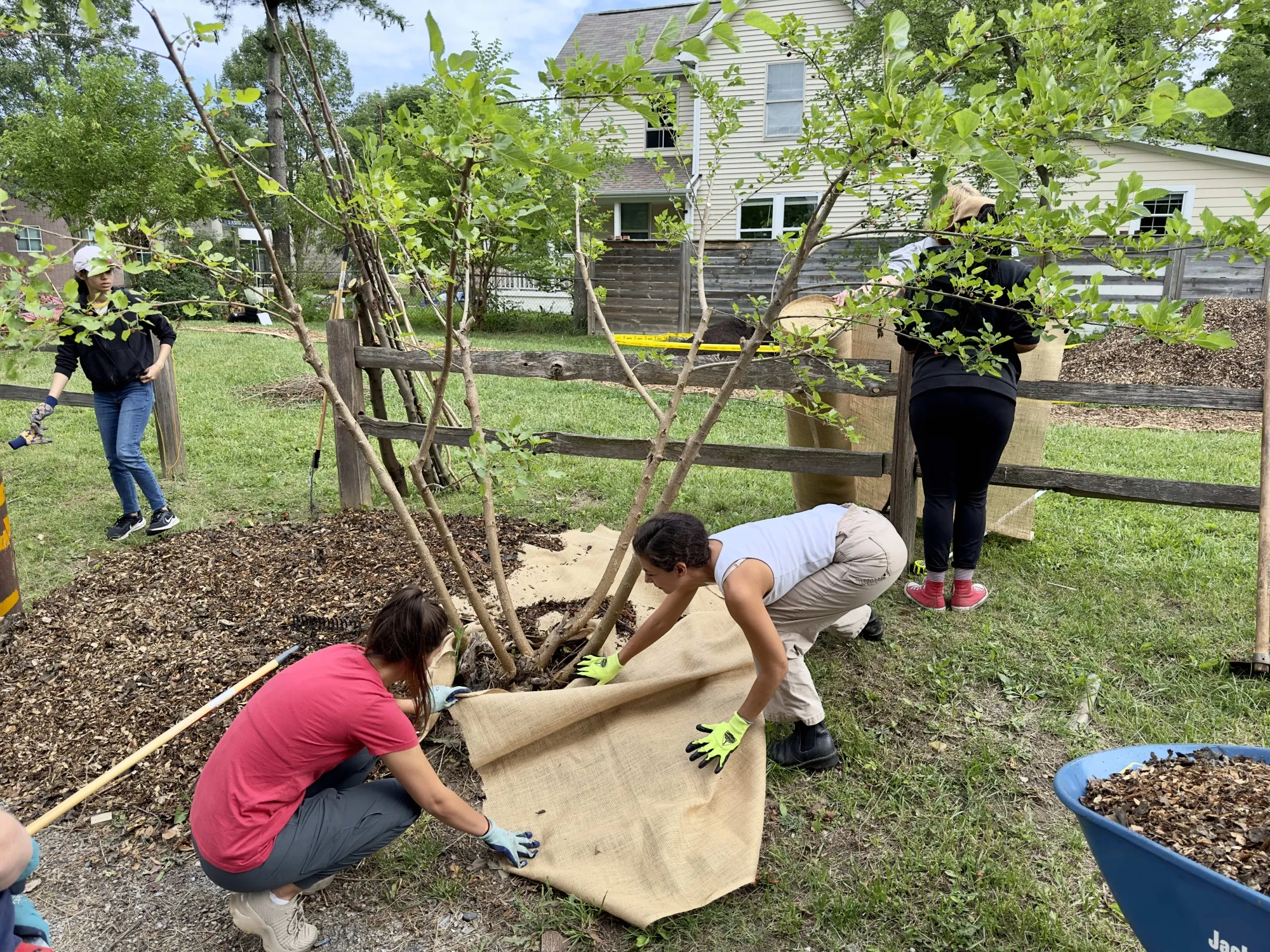 Landscape architecture students at Ohio State get down and dirty at a summer studio that transforms a vacant lot in Columbus into an&nbsp;urban agriculture site.&nbsp;