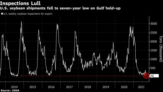 Hurricane Snarls Send U.S. Soybean Shipments Plummeting