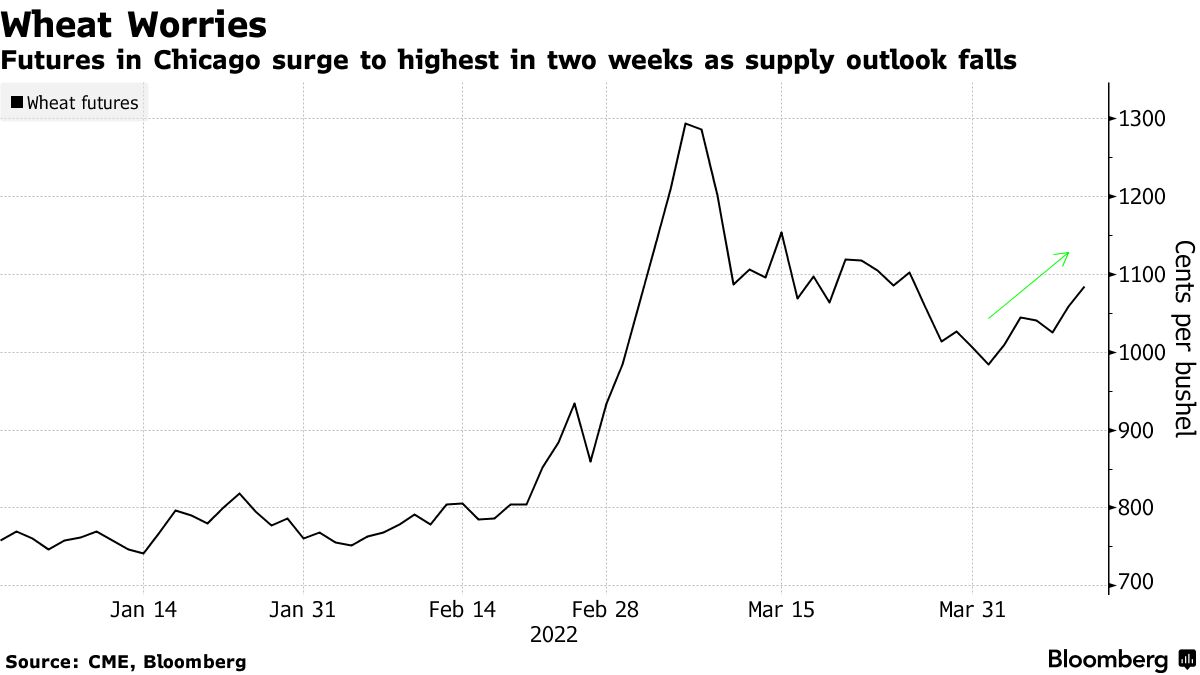Futures in Chicago surge to highest in two weeks as supply outlook falls