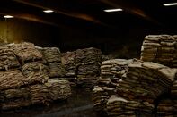 relates to America’s Obsession With Beef Is Killing Leather