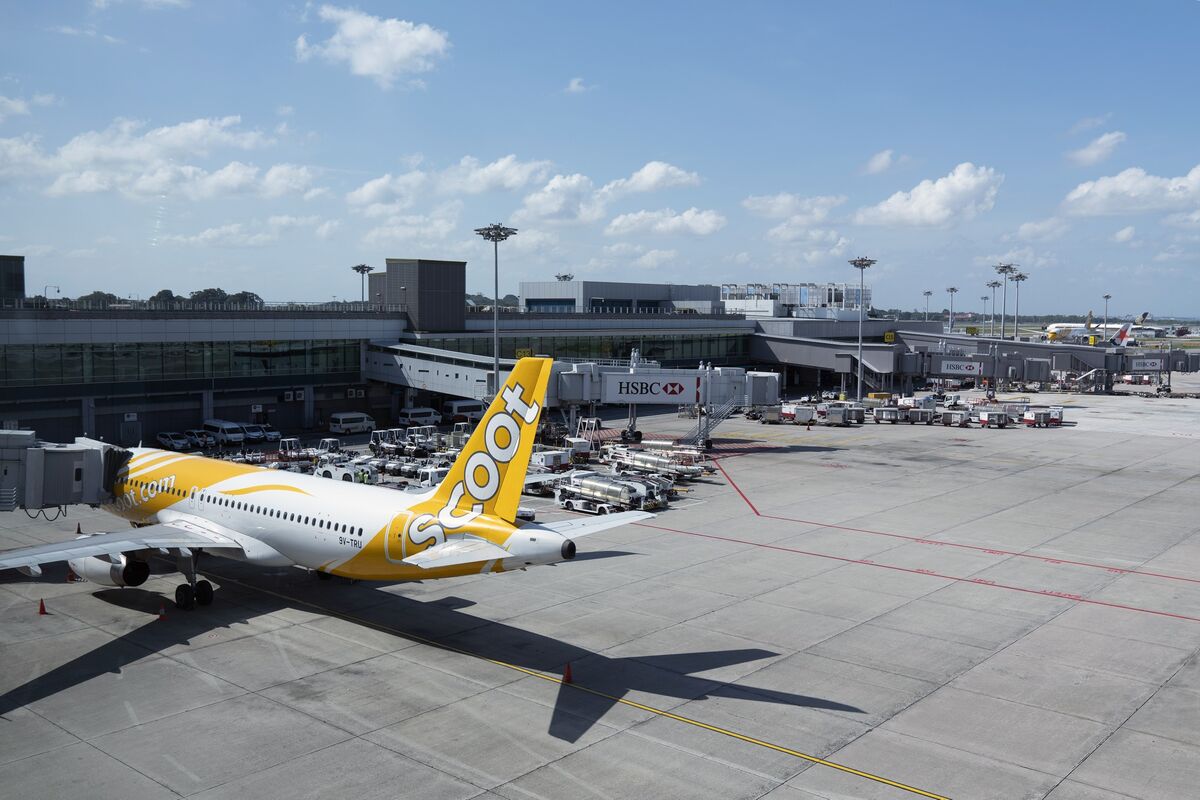 Singapore's Changi Airport flights to exceed 80% 2019 levels by year-end, News