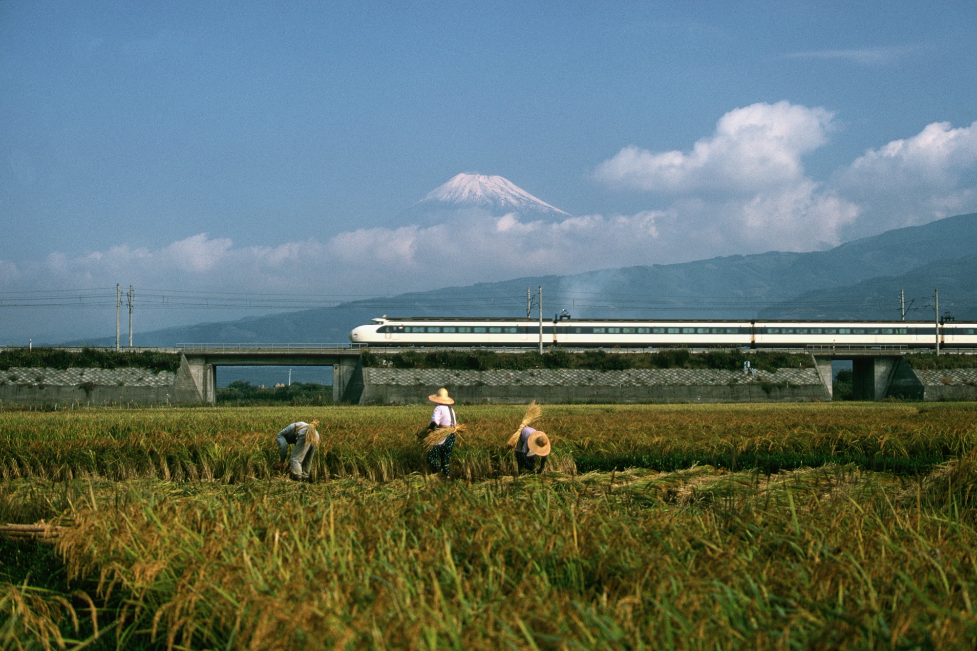 The ‘Shinkansen’ bullet train passing a rice field in 1968. The unveiling of the&nbsp;bullet&nbsp;heralded the dawn of a high-tech era in Japan.