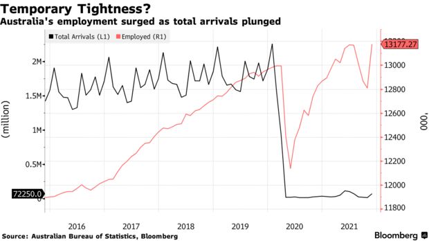 Australia's employment surged as total arrivals plunged