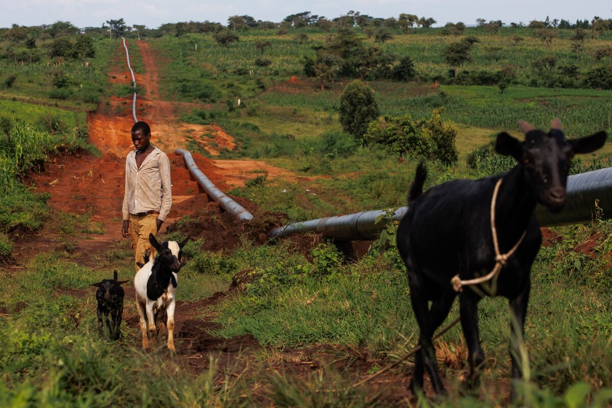 A New Challenge for a Game Changing Fossil-Fuel Bet