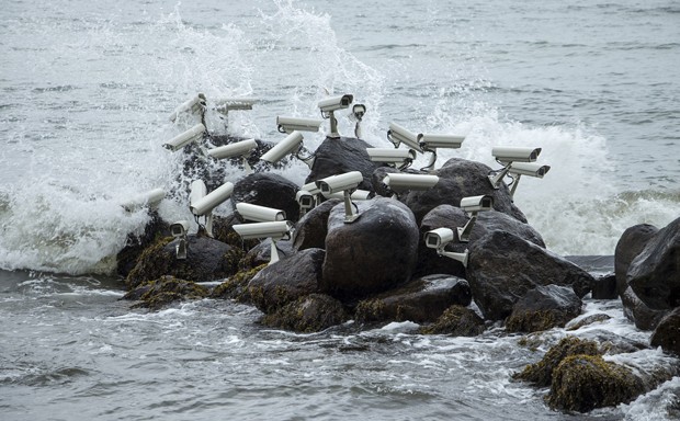 Security cameras perched on top of rocks in Denmark look a bit like seagulls.