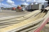 Soaring Barley Prices Spell Bad News for Beer