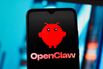 In this photo illustration, the OpenClaw AI (Open Claw) logo
