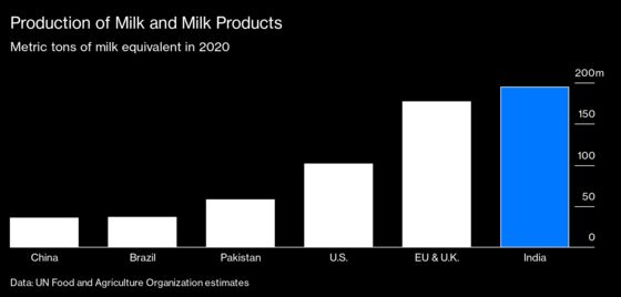PETA Goes on Attack in India Over Milk Giant’s Treatment of Cows