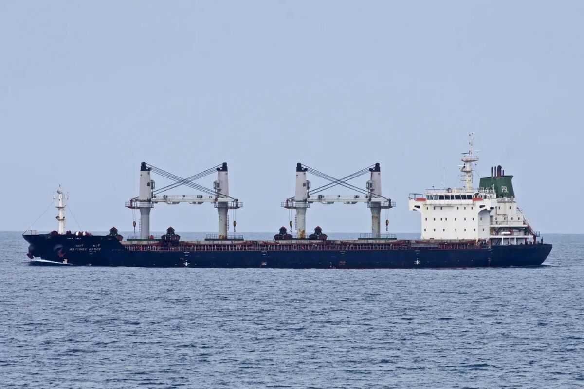 Thai Cargo Ship Hit Near Strait of Hormuz, 20 Crewmen Rescued