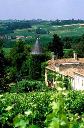 Bordeaux Superieur Vineyards