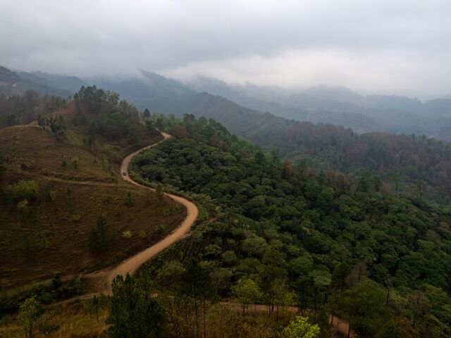 A winding road separates wooded farmland from deforested terrain on a mountain ridge near Subirana.