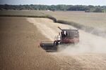 Operations During A Soybean Harvest As Crop Price Fluctuates