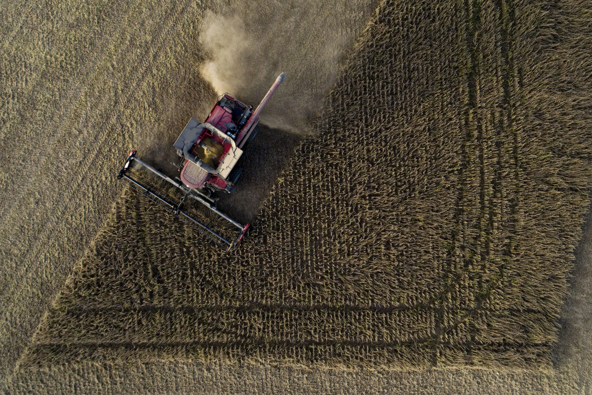 Soybeans are harvested in Tiskilwa, Illinois, U.S., on&nbsp;Sept. 27, 2018.&nbsp;