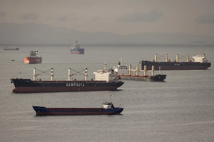 Ships, including those carrying grain from Ukraine, are&nbsp;anchored off the Istanbul coastline in Turkey.&nbsp;