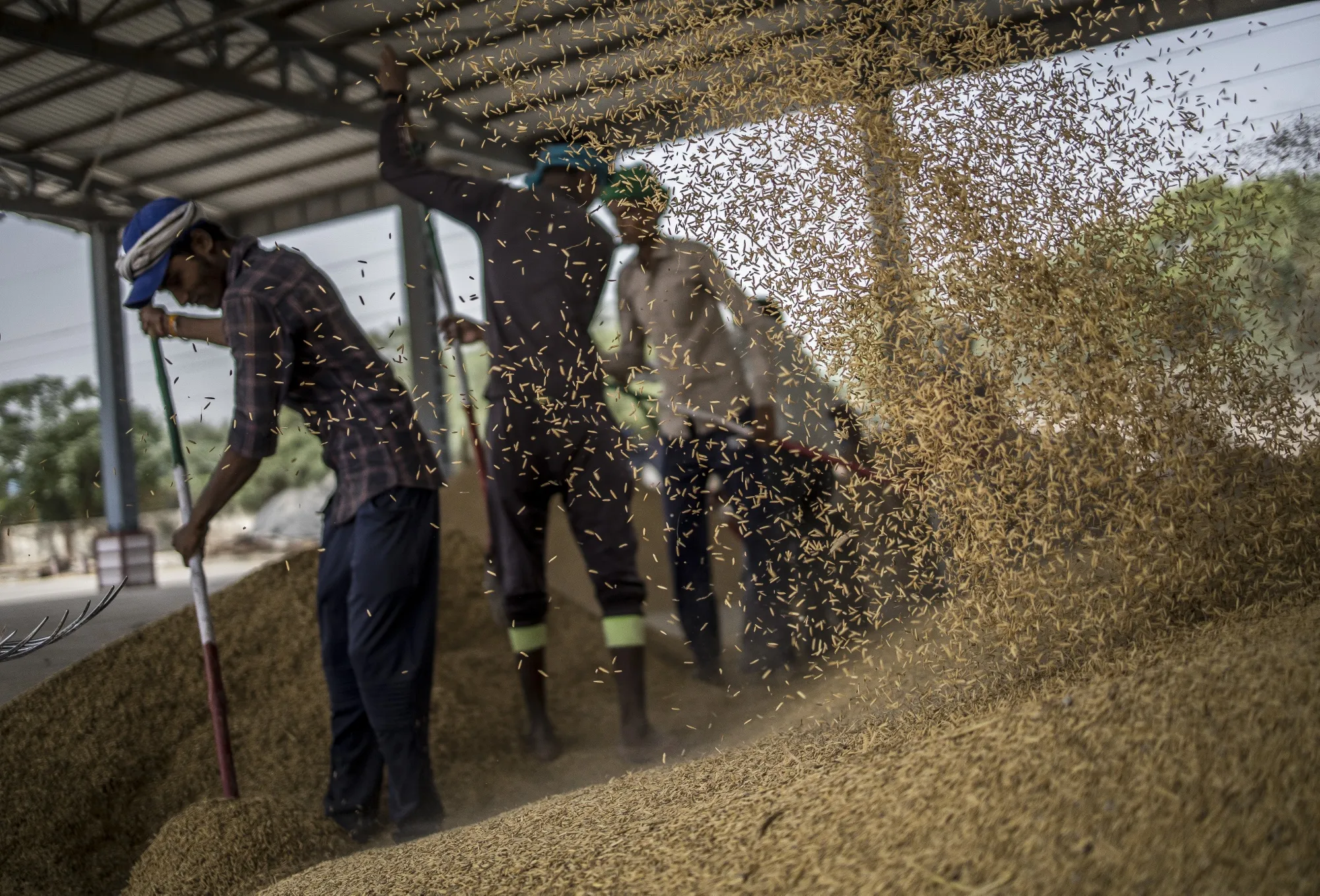 Workers&nbsp;at a wholesale market in the Narela district of New Delhi.