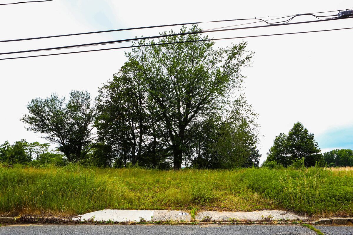 NJ's Blue Acres Program a New Strategy for Climate Change Bloomberg