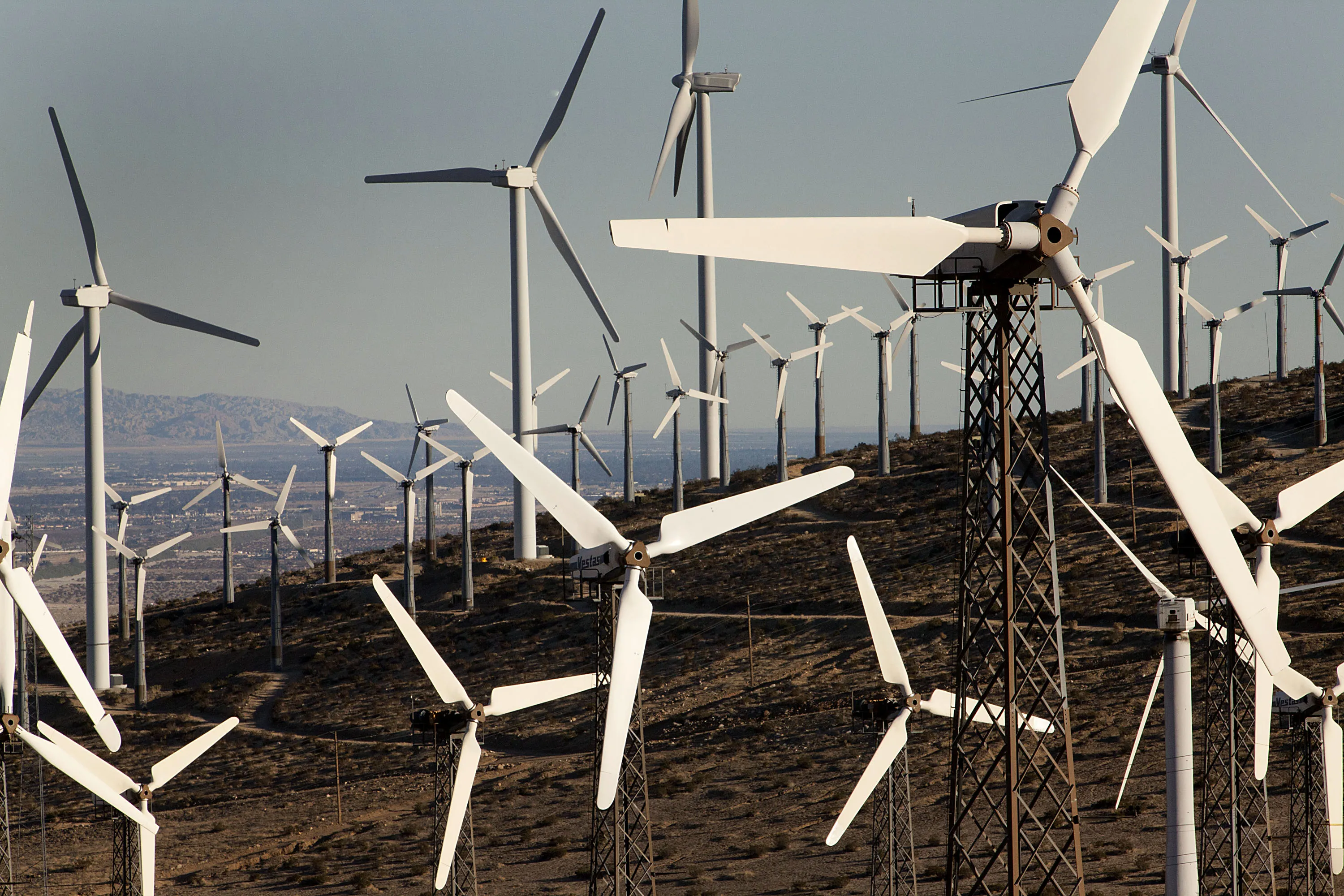 The rising value of sustainability.