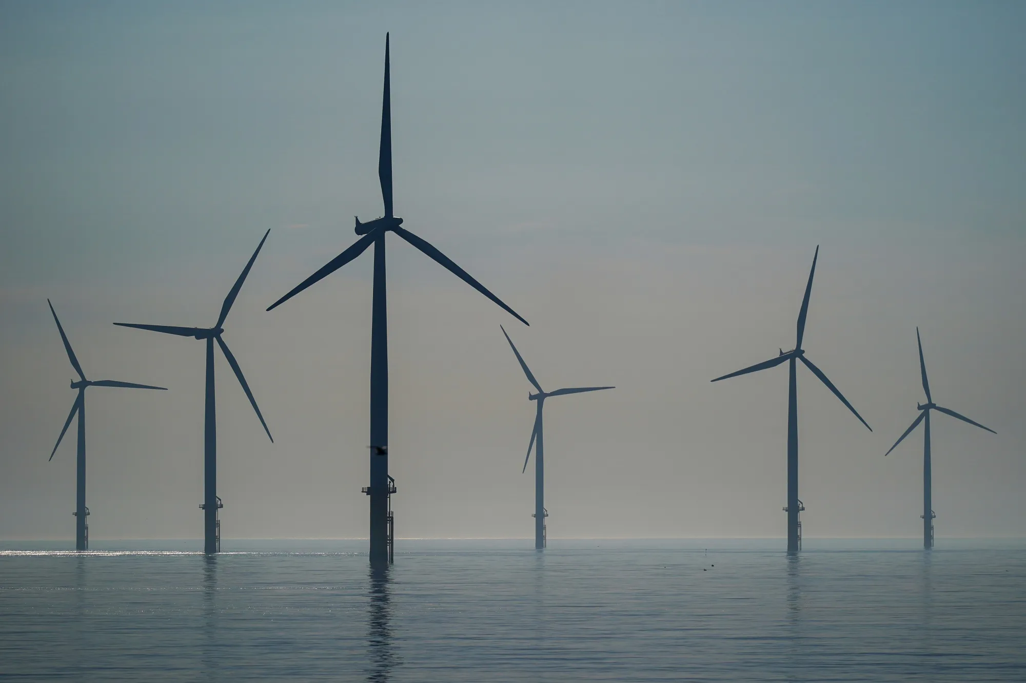 EDF Adopts Cautious Stance on Renewables Amid Offshore Wind Project  Struggle - Bloomberg