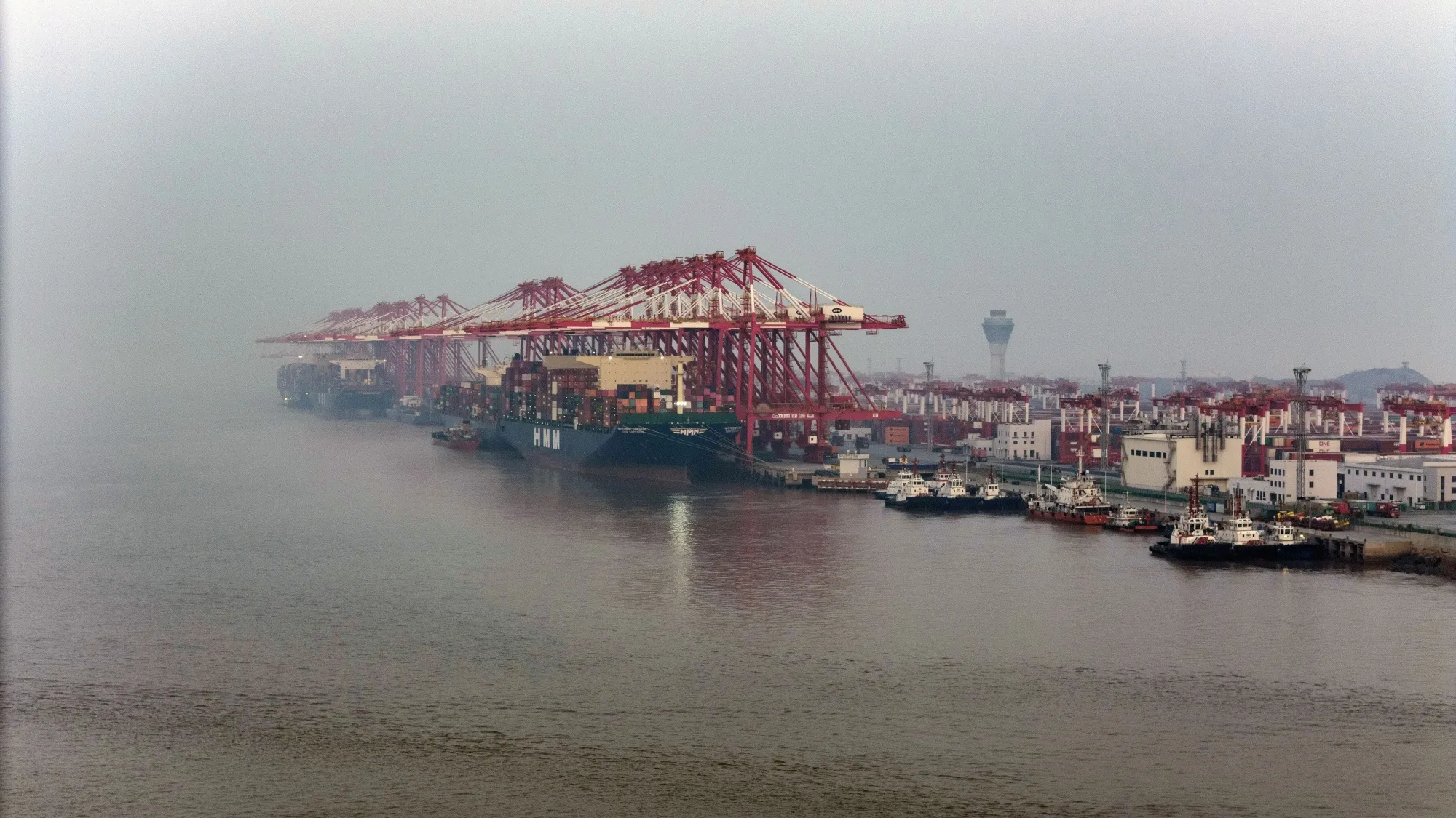 Shanghai Yangshan Deepwater Port as China Faces Trump's Return Just as Reliance on Exports Soars