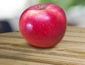 relates to BayWa Unit to Introduce First Climate-Change Resistant Apple