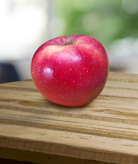 BayWa Unit to Introduce First Climate-Change Resistant Apple