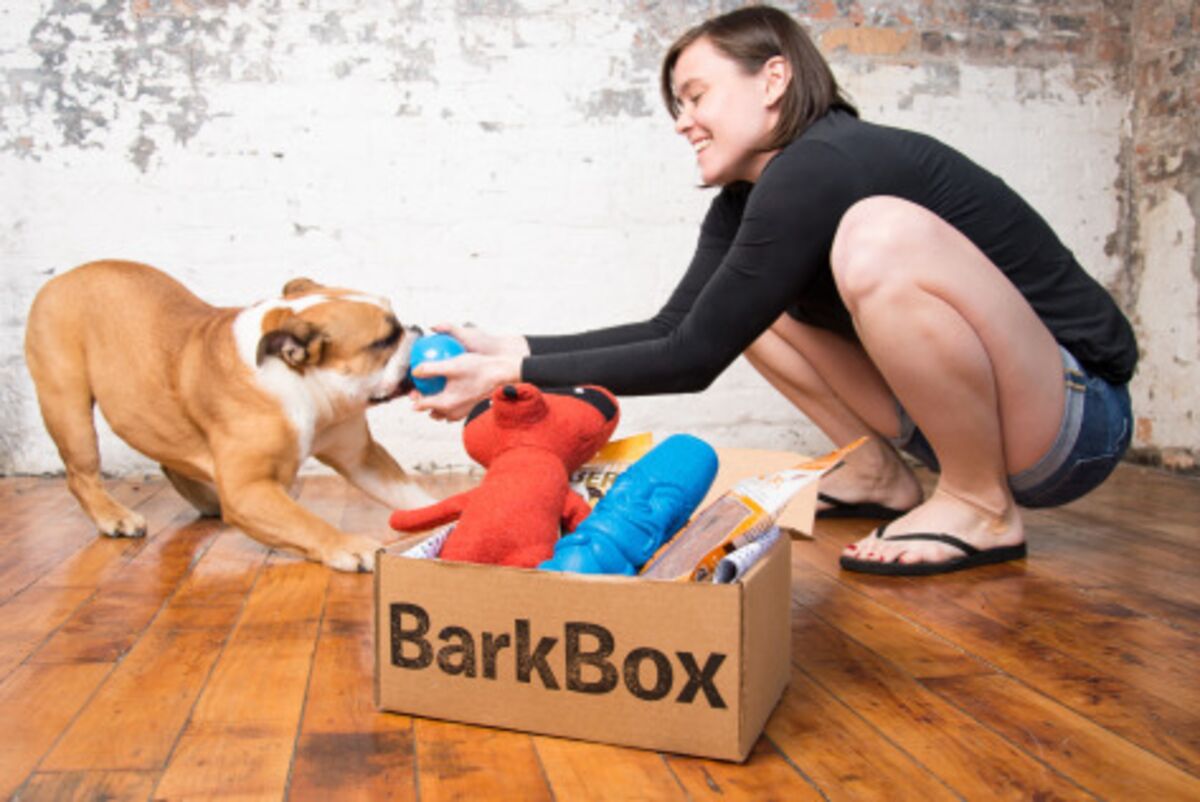 birchbox for dogs