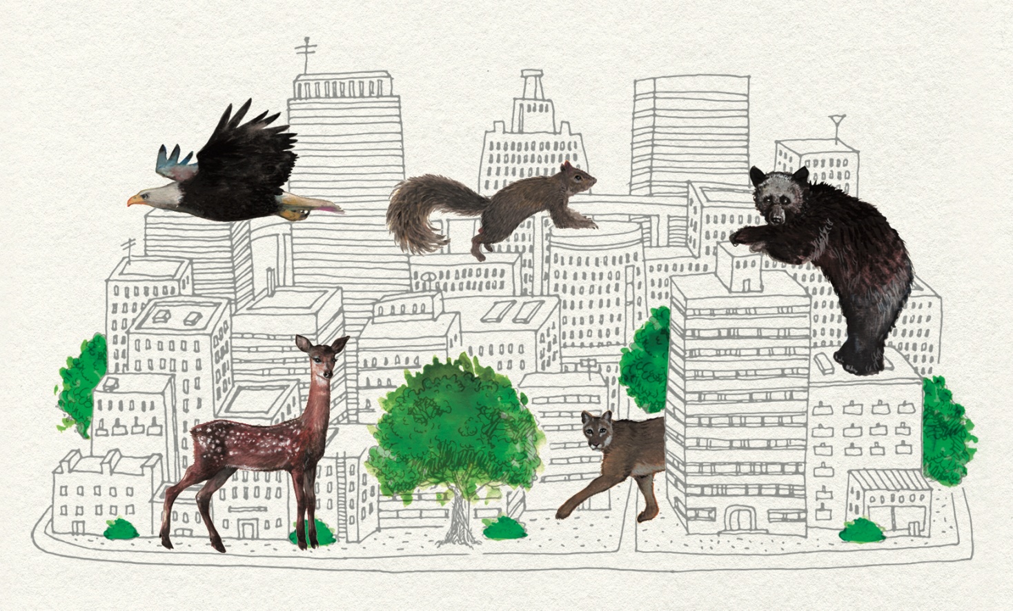 Animals Go Wild: The Urban-Animal Interface