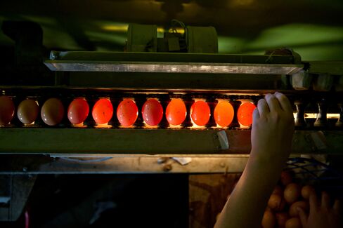 Eggs pass over an inspection light inside a barn at a certified organic, family-run farm in Sheffield, Ill.