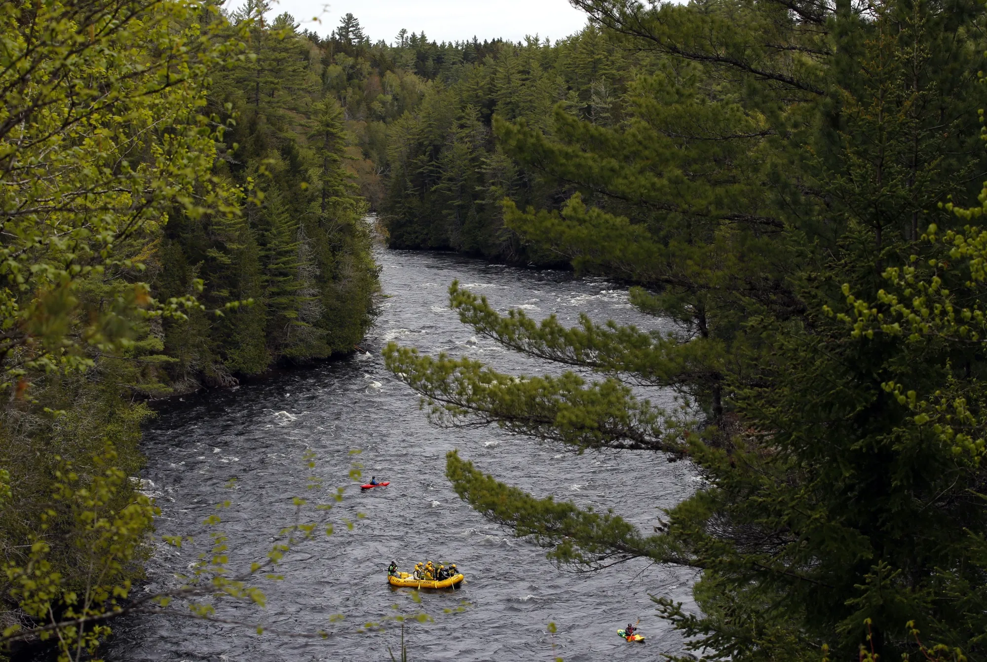 Whitewater rafters paddle on the Kennebec River in The Forks, Maine, on May 28, 2019. On the Kennebec River, conservation groups and state environmental agencies are pushing for the removal of four hydropower dams that block endangered Atlantic salmon from reaching habitat. The dams generate about 5% of the state’s renewable energy. (AP Photo/Robert F. Bukaty, File)