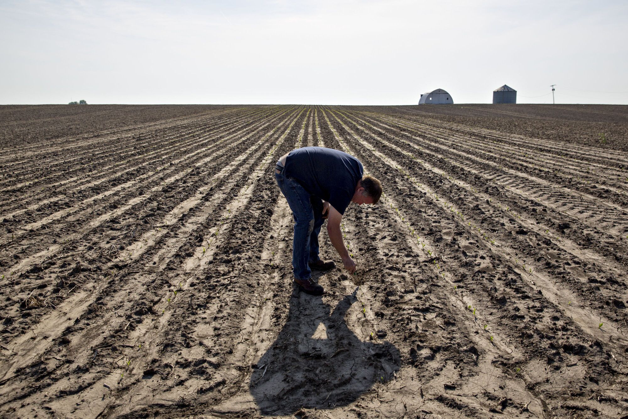 Trump's $16 Billion Farmer Trade Aid Package Leaves Few Happy - Bloomberg