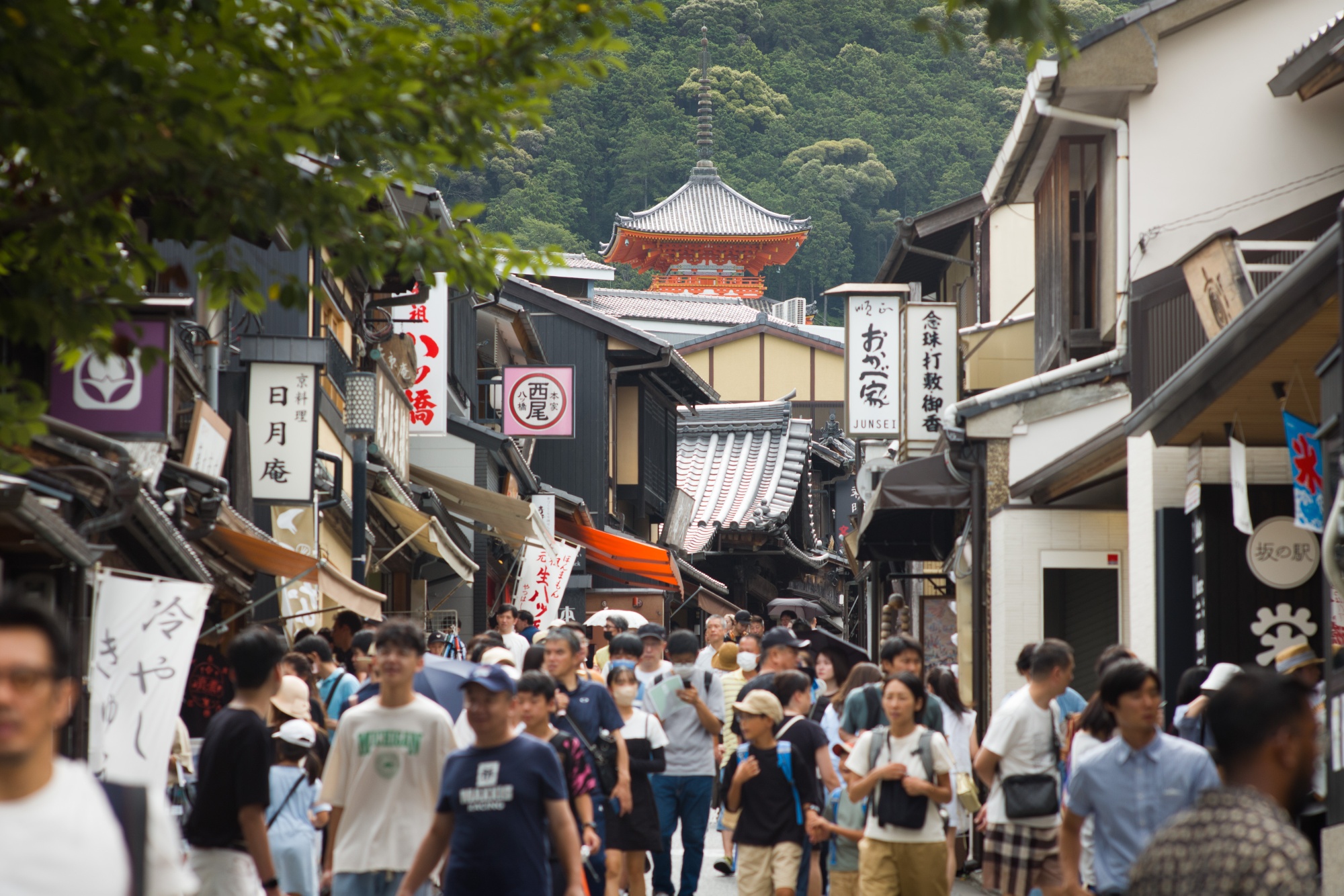 Surviving in Japan: (without much Japanese): 24 Places to Find