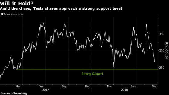 As Tesla Shares Go Up in Smoke, Short Investors Go to the Bank