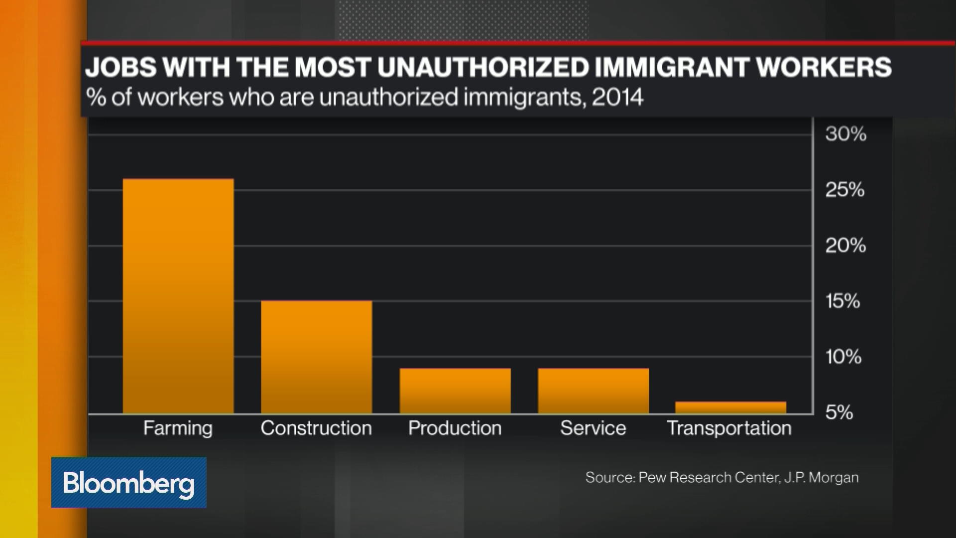 Watch How Will Immigration Reform Impact The U.S. Economy? - Bloomberg