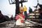 A chicken's head protrudes from a cage at the Ghazipur Poultry Wholesale Market, known as Ghazipur Murga Mandi, in Delhi, India, on Sunday, Jan. 10, 2016. The top rupee forecasters see the Indian currency rallying after three quarters of declines as spending by the government and business tycoons fuel the fastest growth among the world's major economies. Photographer: Prashanth Vishwanathan/Bloomberg