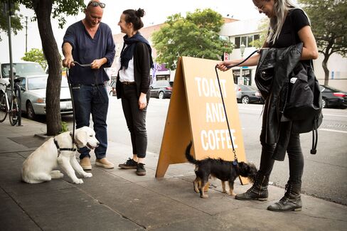 Note: If you like dogs, now is a good time to visit the Instagram account @dogsofsqirl.