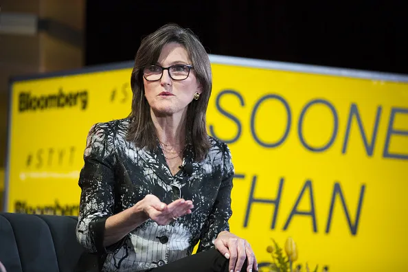 Cathie Wood has some detractors.&nbsp;