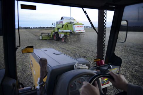 Soy Harvest in Argentina