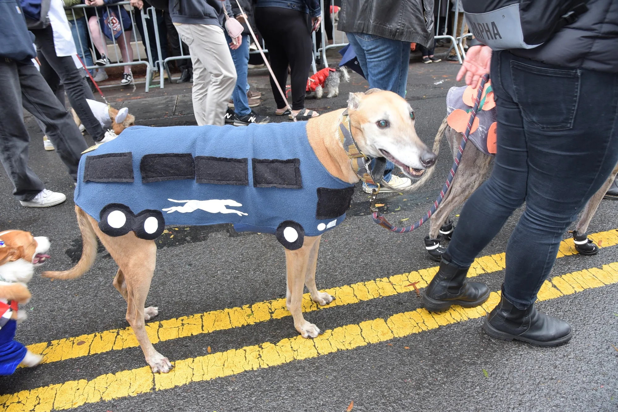 The vehicles were limited to costumes at the&nbsp;33rd annual Tompkins Square Halloween Dog Parade on&nbsp;Oct.&nbsp;21, 2023, in New York City.&nbsp;