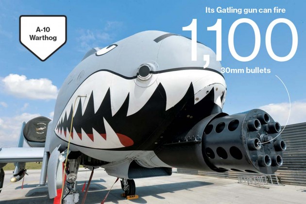 a10 warthog shark