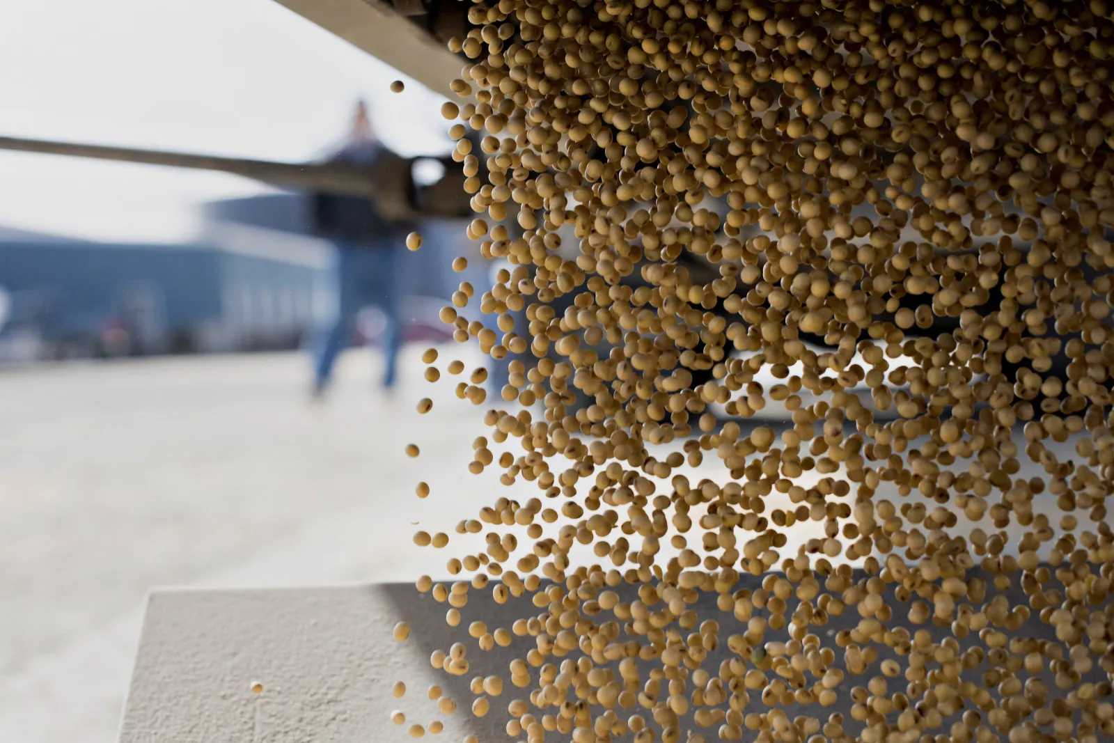 Monsanto Co. Products Ahead Of Earnings Figures